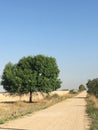 Dusty country road Royalty Free Stock Photo